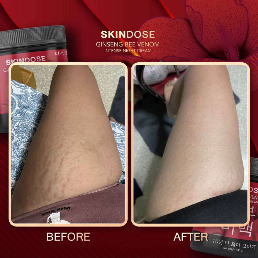 Ginseng Bee Venom Night Cream