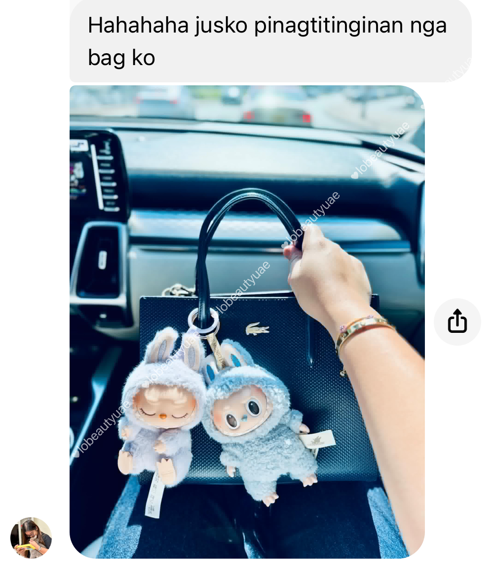 Labubu Vinyl Plush Blind Box
