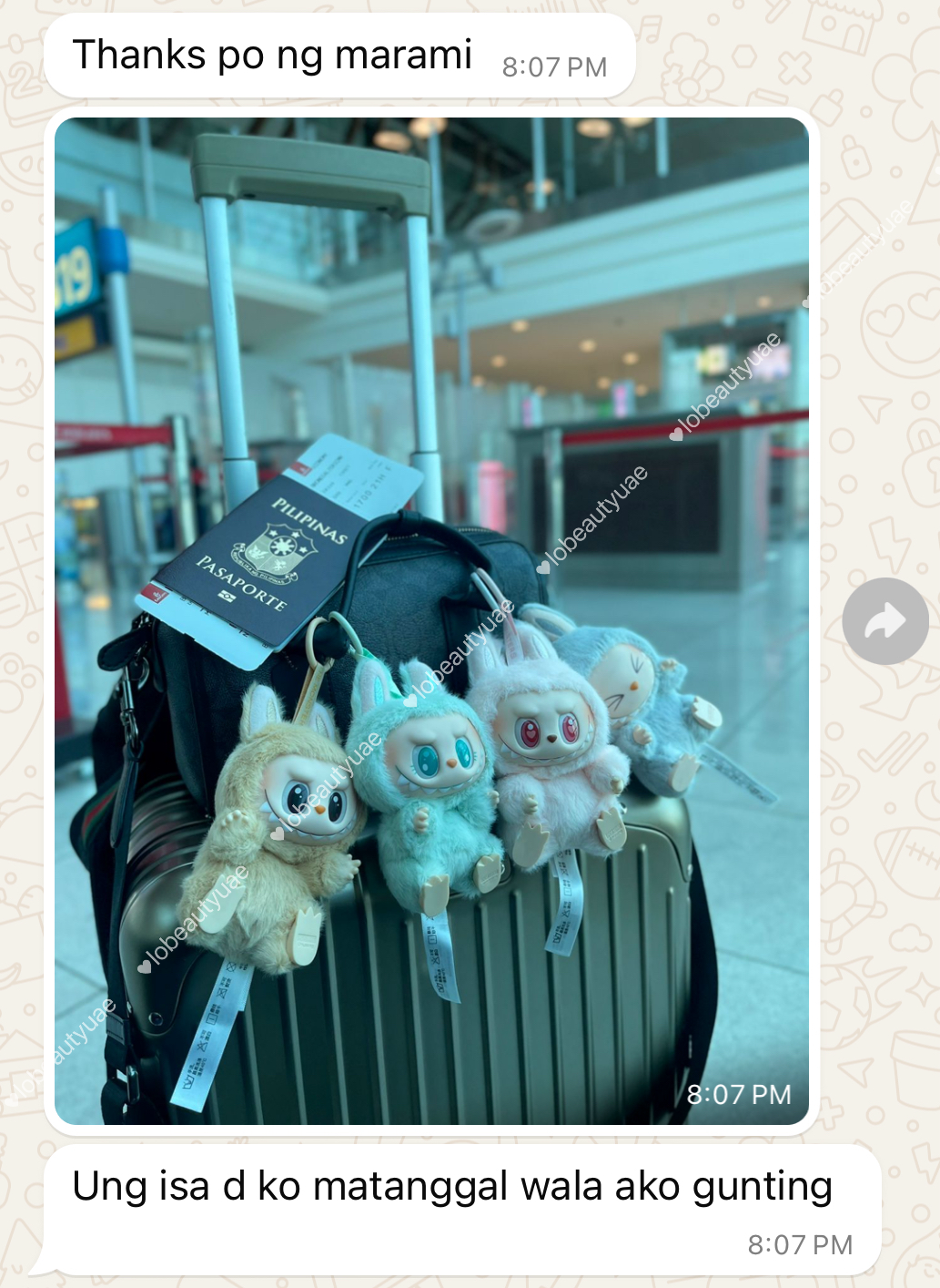 Labubu Vinyl Plush Blind Box