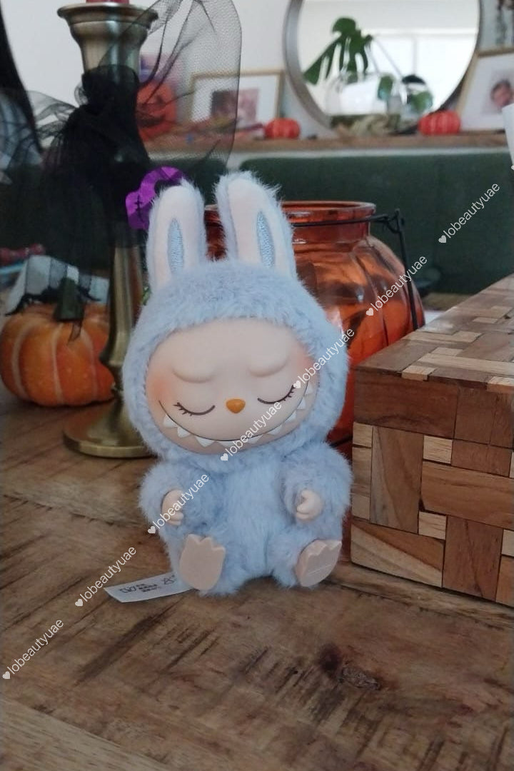 Labubu Vinyl Plush Blind Box