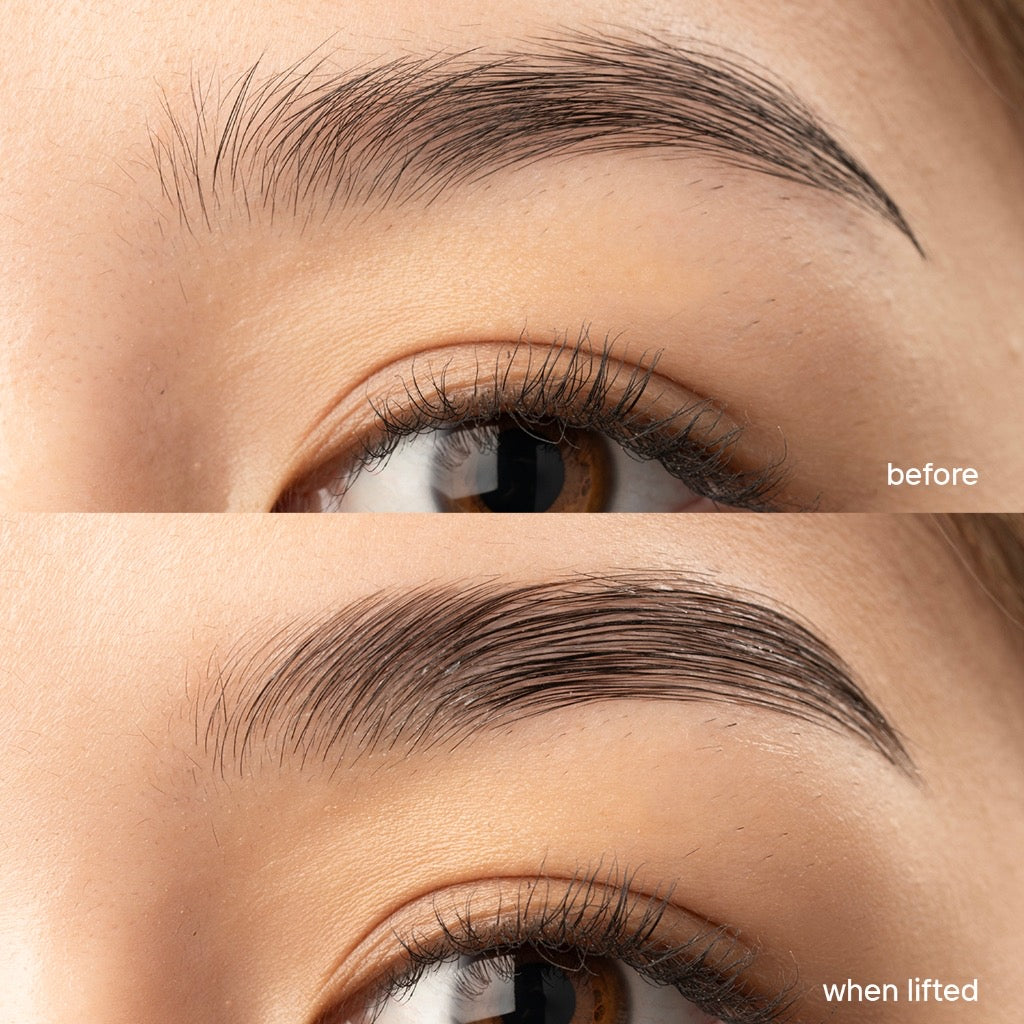 Universal Brow Lifter