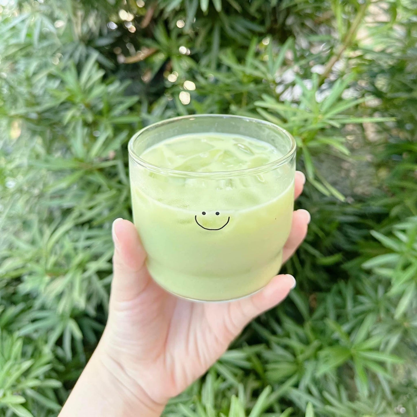 Premium Japanese Matcha Beauty Milk